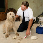 Dry Carpet Cleaning Service Temecula Grout Cleaning
