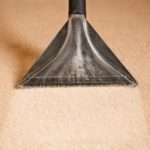 A Guide to the Different Types of Carpet Cleaning Techniques