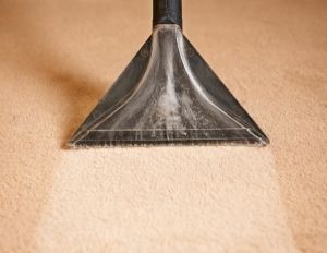 A Guide to the Different Types of Carpet Cleaning Techniques