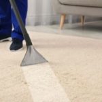 What To Do Before a Professional Carpet Cleaner Arrives