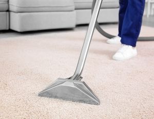 The Many Health Risks of Dirty Carpets in Your Home