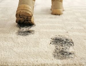 How Mud Damages Your Carpet and How To Treat It