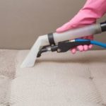 4 Things You Should Know About Upholstery Cleaning