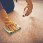 Different Types of Natural Carpet Cleaning Solutions