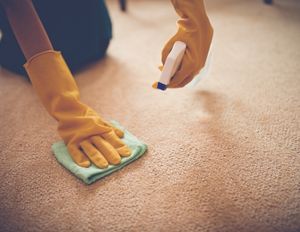 Different Types of Natural Carpet Cleaning Solutions